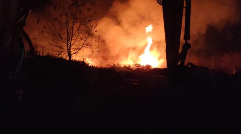 Bursa’da sazlık alanda yangın