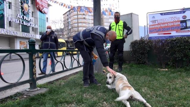Bursa’da polislerin sokak köpeklerine şefkat eli
